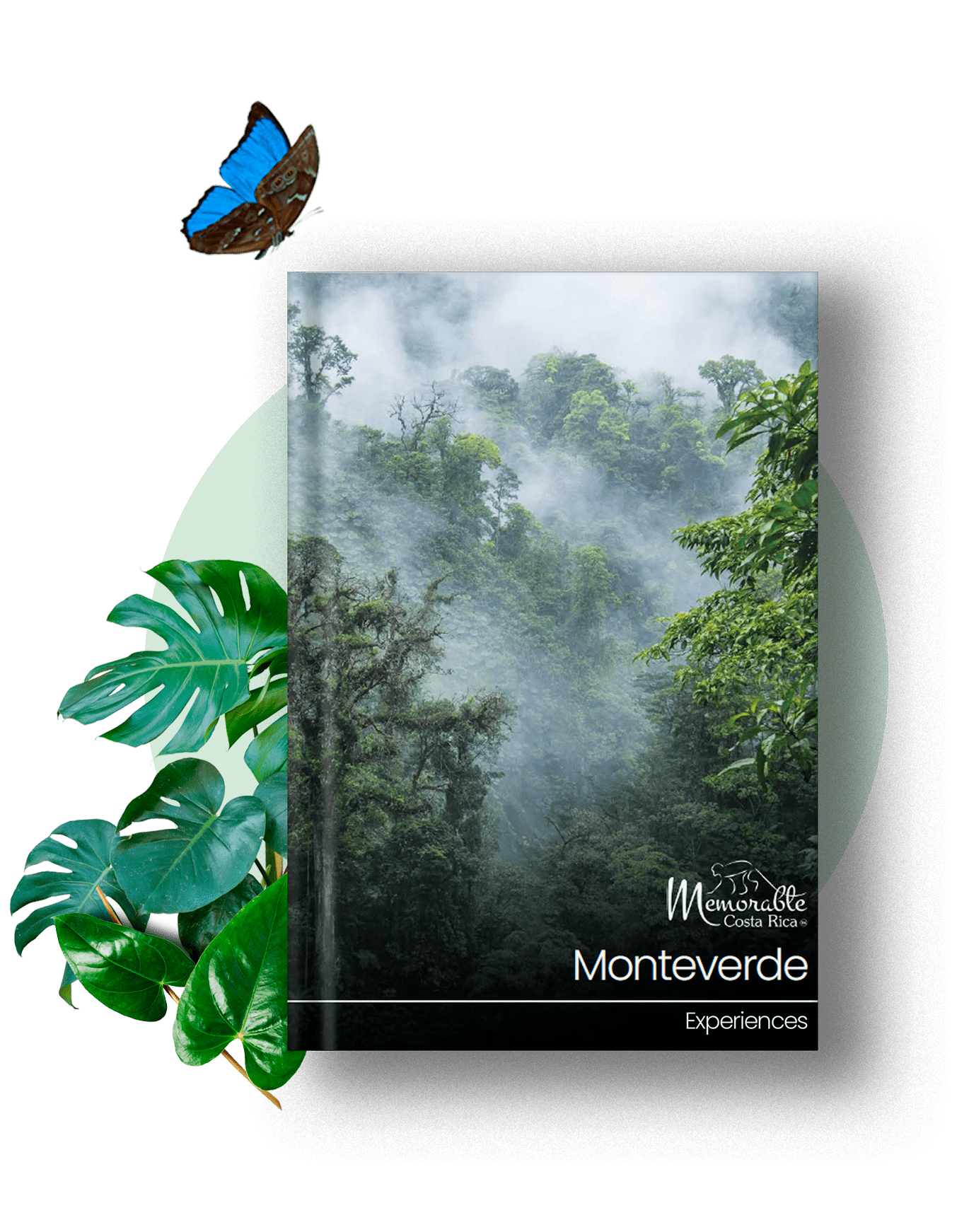 monteverde-region