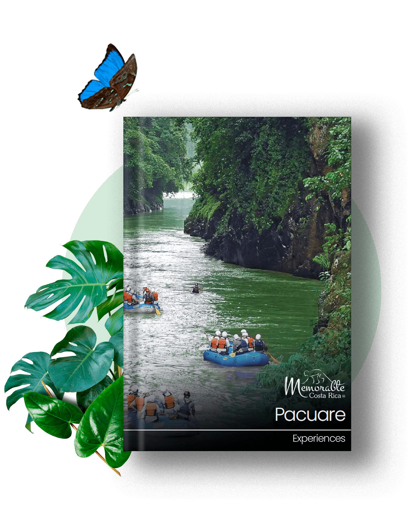 pacuare-region